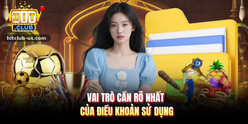 Vai trò cần rõ nhất của điều khoản sử dụng